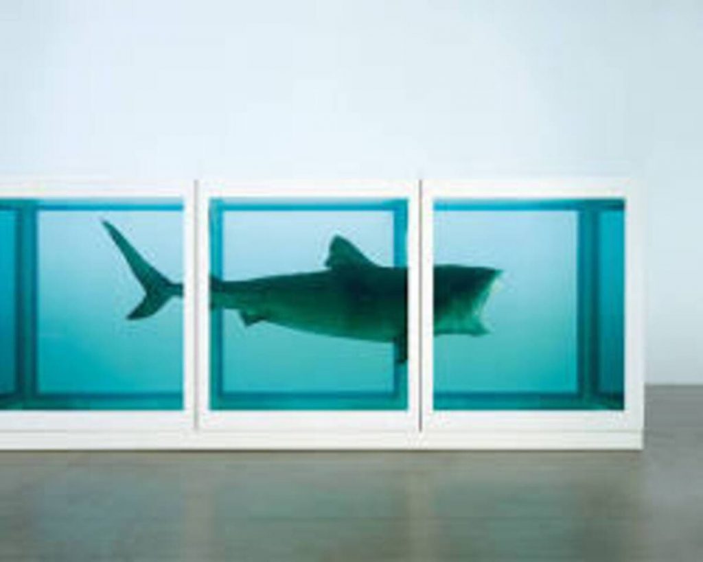 Damien Hirst : Le requin dans le formol