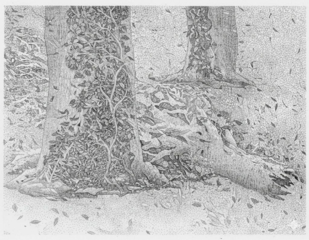 Bruno Dufourmantelle